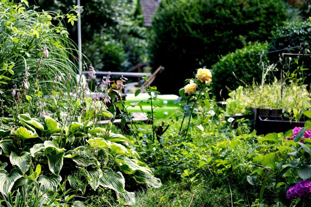 Souterrainwohnung Mit Grossem Garten Und Sauna Kassel Exterior foto
